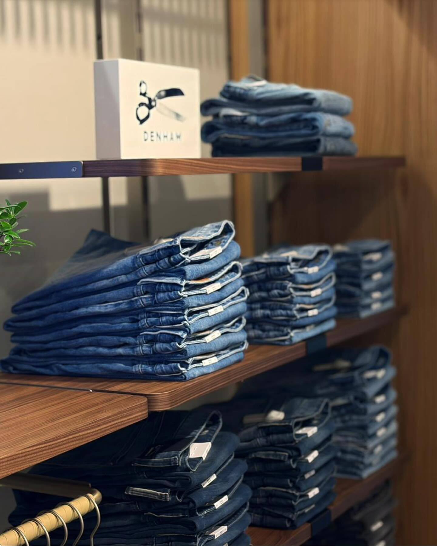 dnhm-jeans-display.jpg