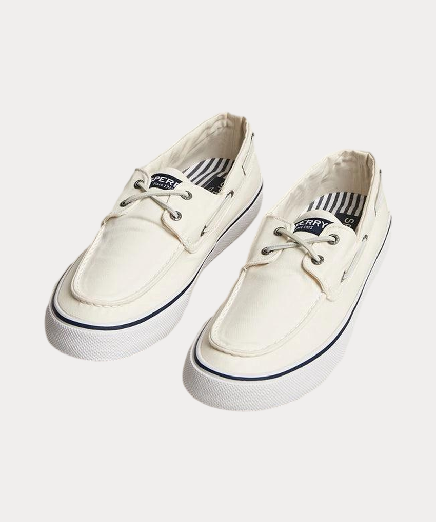 product-image-1_1d1d3975-a56f-4825-87a1-d9f8d6ec0560.png